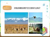 粤教版综合实践活动四年级下册《动物是人类的朋友》课件
