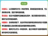 沪科·黔科版综合实践三年级下册  漫游石头王国 活动二《健康护航员--卵石路》课件+教案+素材