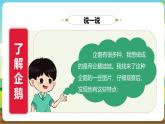 沪科·黔科版综合实践五年级下册 人类共同的南极 活动二《企鹅娃娃》课件+教案+素材