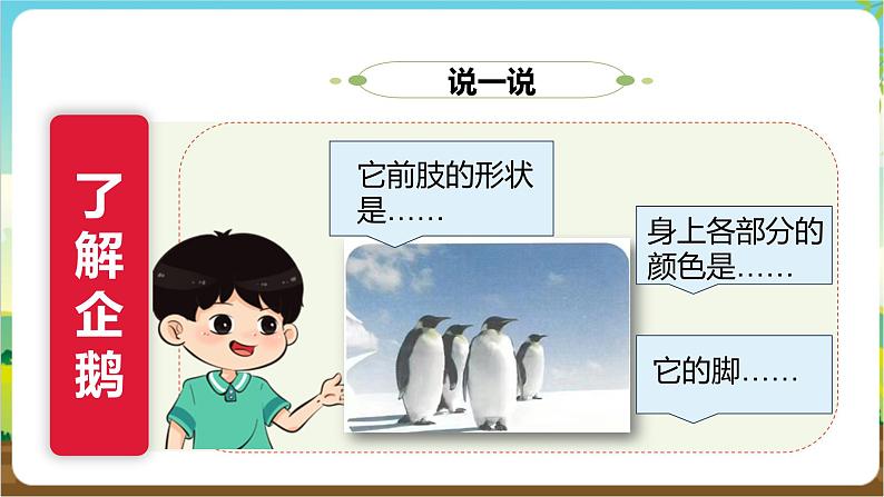 沪科·黔科版综合实践五年级下册 人类共同的南极 活动二《企鹅娃娃》课件第8页