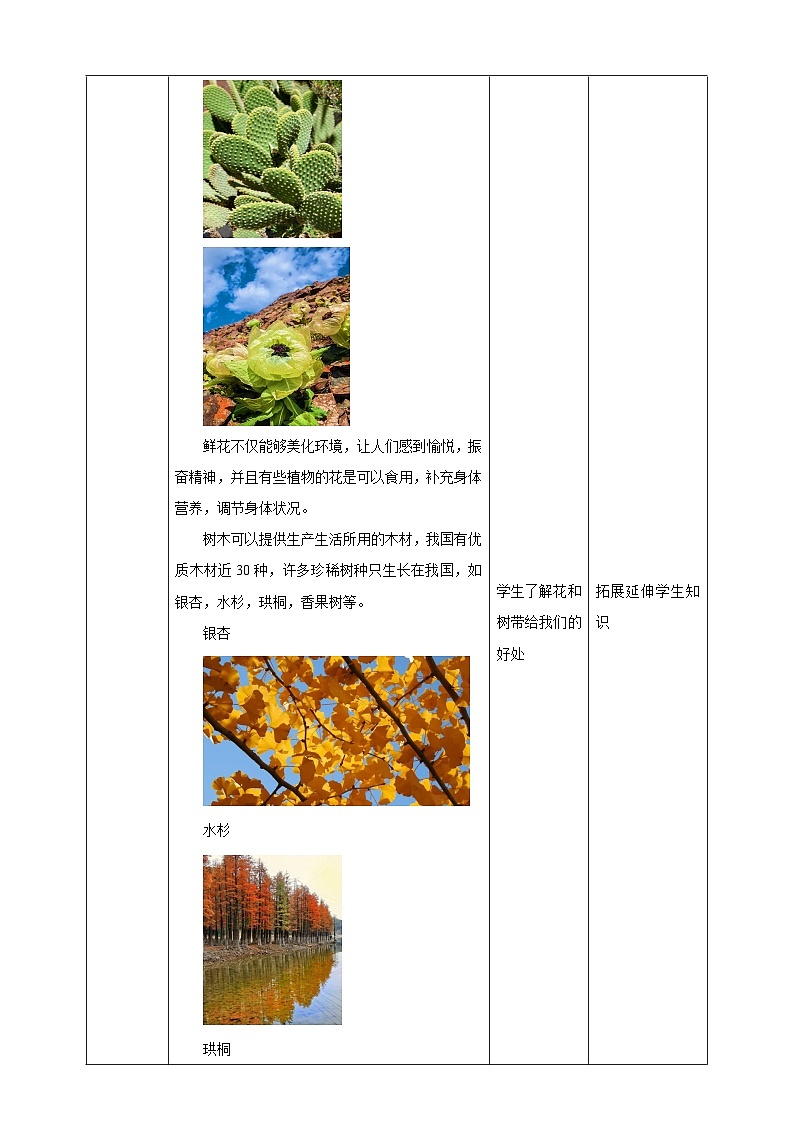 鲁科版综合实践活动三年级下册2.1《认识花草树木》教案第3页