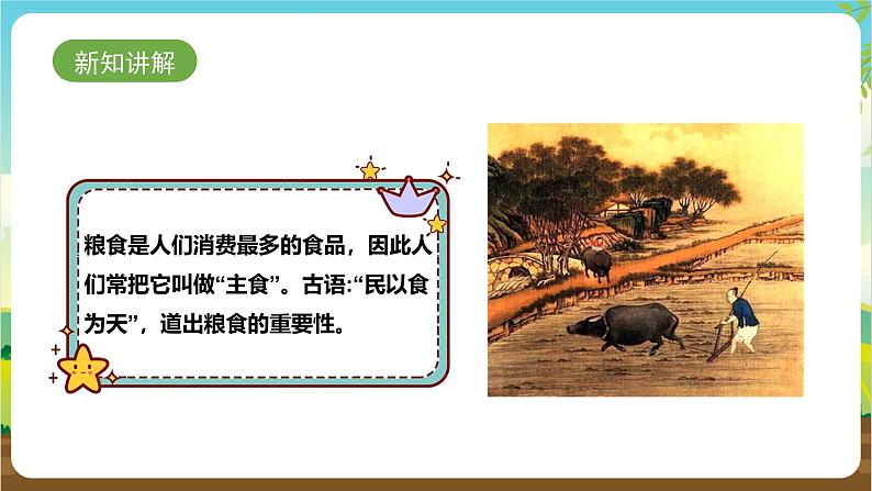 鲁科版综合实践活动三年级下册2.2《认识粮食作物》课件第4页