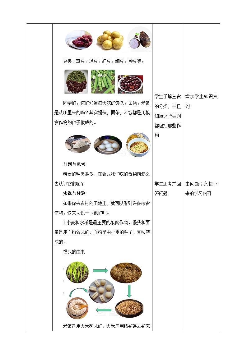 鲁科版综合实践活动三年级下册2.2《认识粮食作物》教案第2页