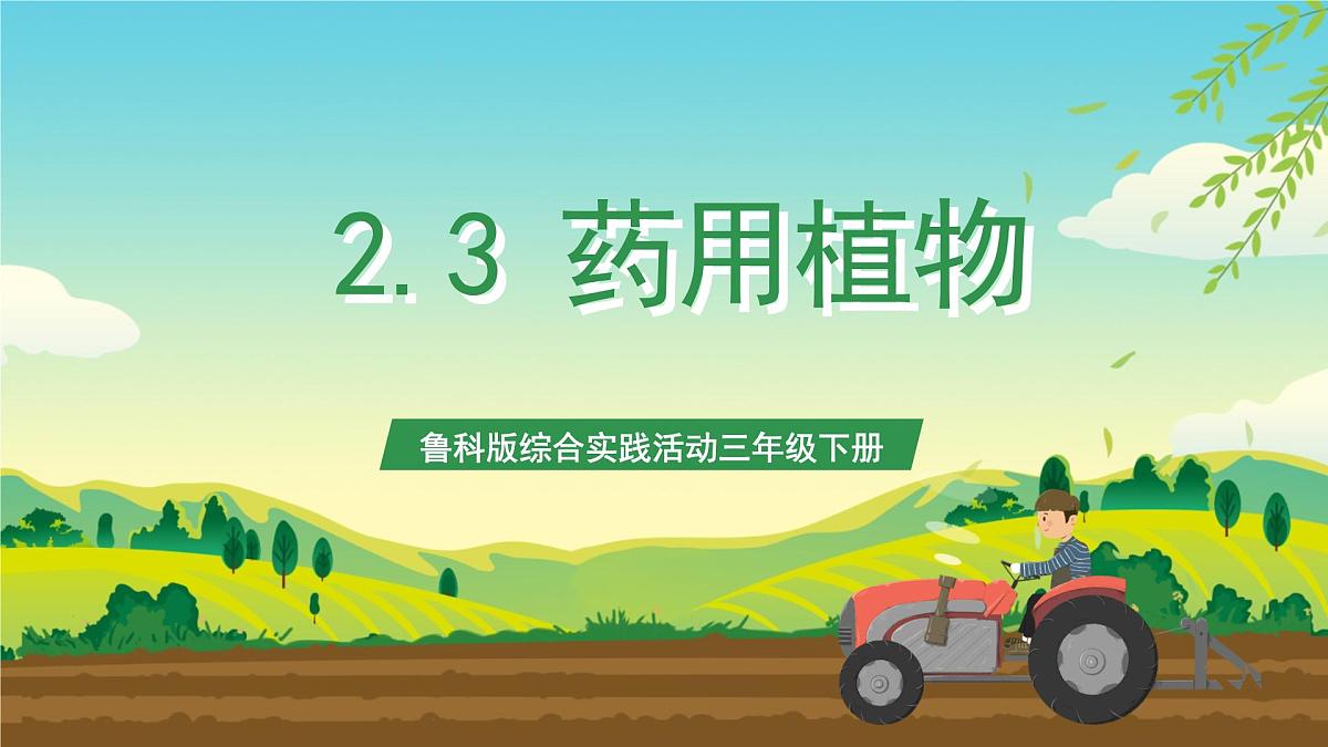 鲁科版综合实践活动三年级下册2.3《药用植物》课件第1页