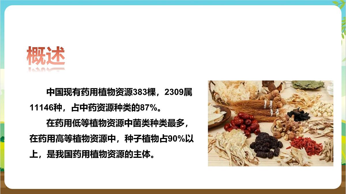 鲁科版综合实践活动三年级下册2.3《药用植物》课件第5页