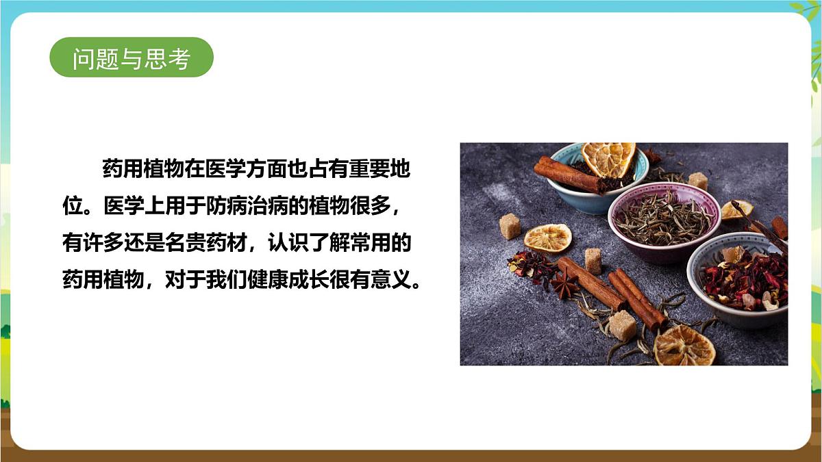 鲁科版综合实践活动三年级下册2.3《药用植物》课件第7页