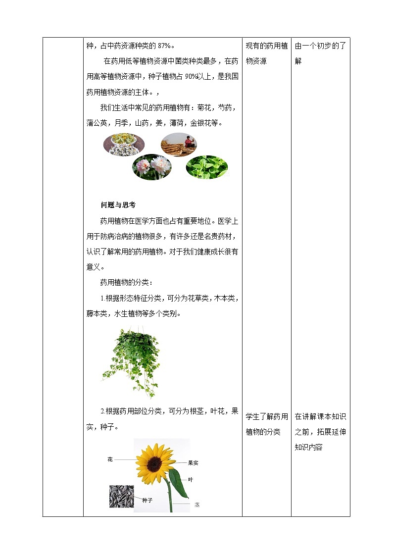 鲁科版综合实践活动三年级下册2.3《药用植物》教案第2页