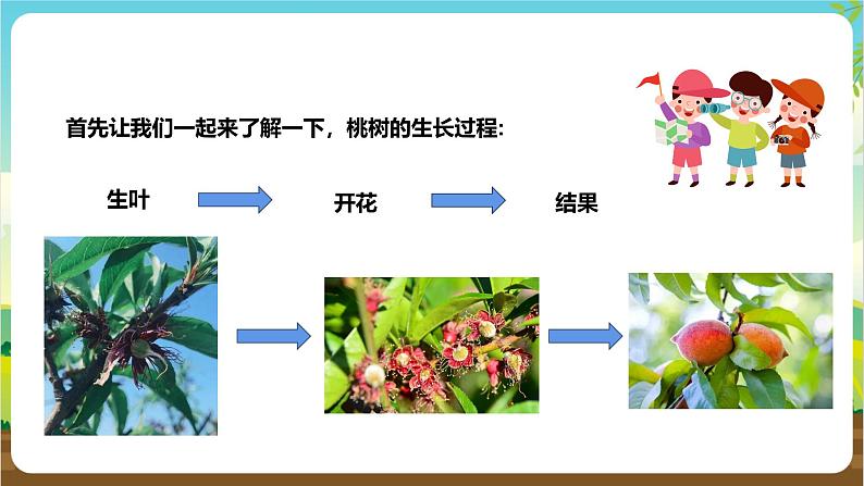 鲁科版综合实践活动四年级下册1.2《春游桃花园》课件第7页