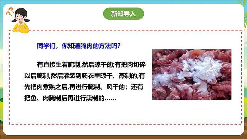 鲁科版综合实践活动六下 4.3《食品腌制·美味香肠》课件第3页