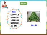 鲁科版综合实践活动六下  6.1《茶艺·认识茶叶》课件+教案+素材