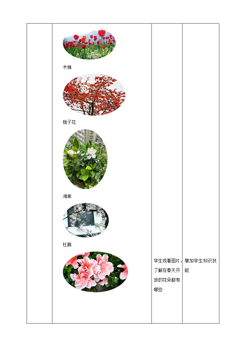 鲁科版综合实践活动四年级下册1.1《春天的约会》教案第3页