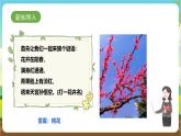 鲁科版综合实践活动四年级下册1.2《春游桃花园》课件+教案+素材