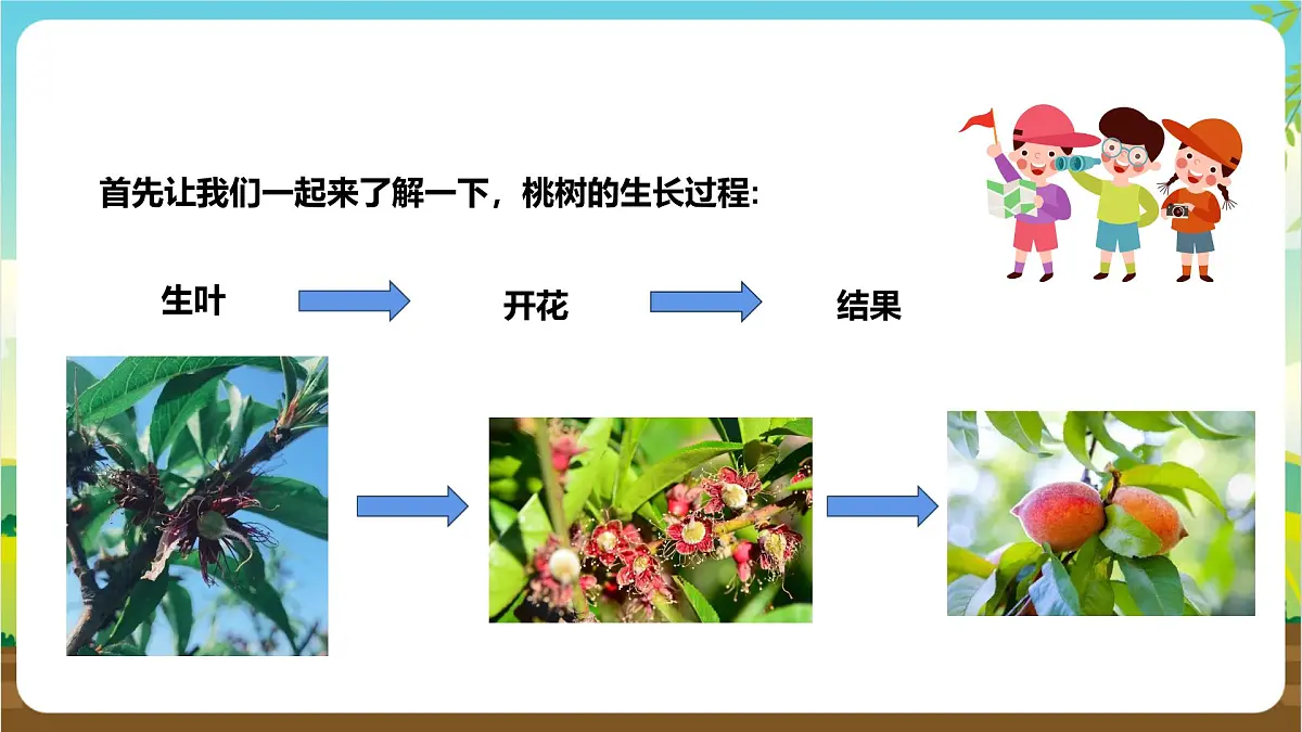 鲁科版综合实践活动四年级下册1.2《春游桃花园》课件第7页