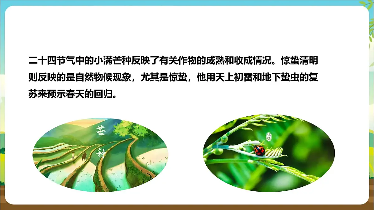 鲁科版综合实践活动四年级下册2.1《认识二十四节气》课件第8页