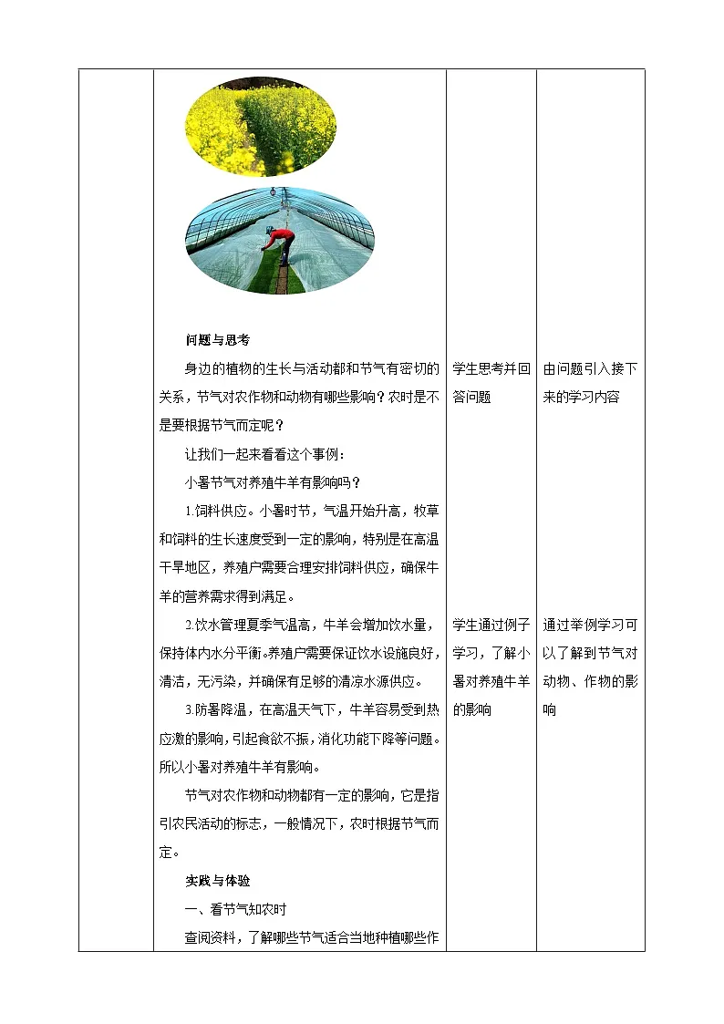 鲁科版综合实践活动四年级下册2.2《节气与农时》教案第2页