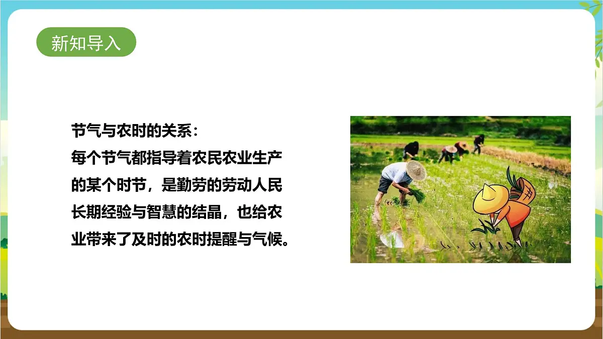 鲁科版综合实践活动四年级下册2.2《节气与农时》课件第3页