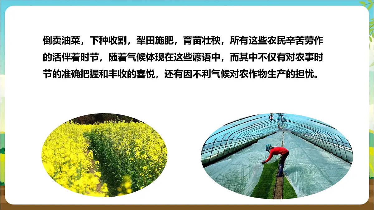 鲁科版综合实践活动四年级下册2.2《节气与农时》课件第5页