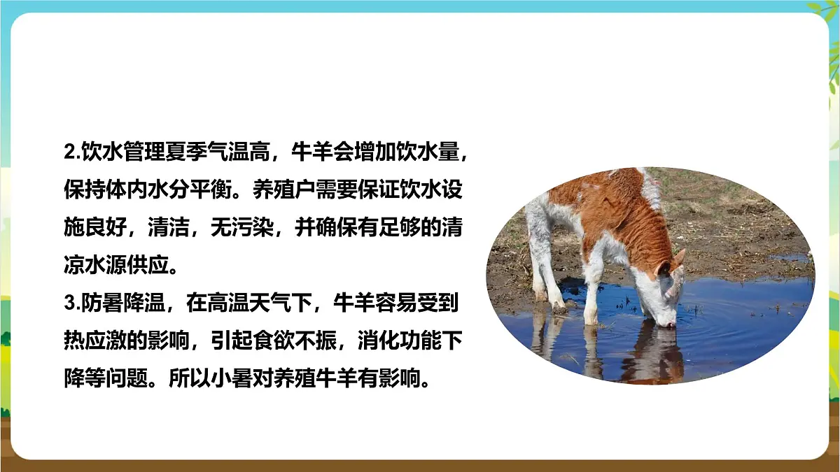 鲁科版综合实践活动四年级下册2.2《节气与农时》课件第8页