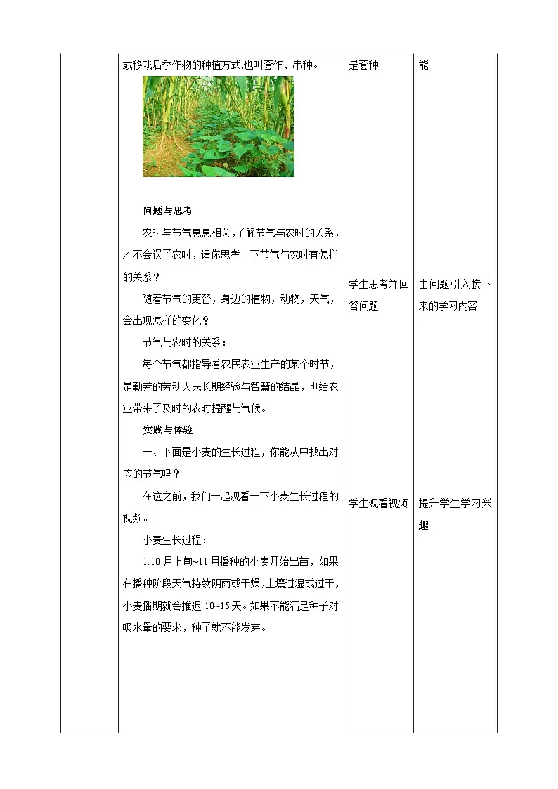 鲁科版综合实践活动四年级下册2.3《节气与种植》教案第2页
