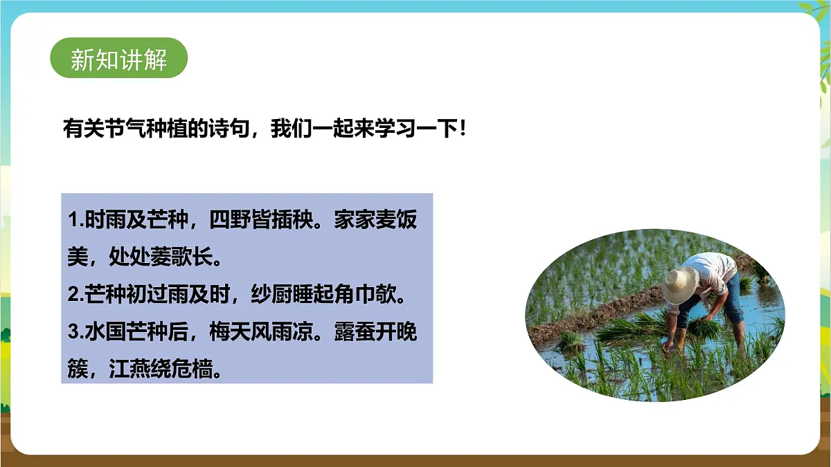 鲁科版综合实践活动四年级下册2.3《节气与种植》课件第4页