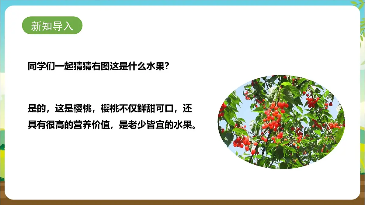 鲁科版综合实践活动四年级下册4.2《玲珑樱桃》课件第3页