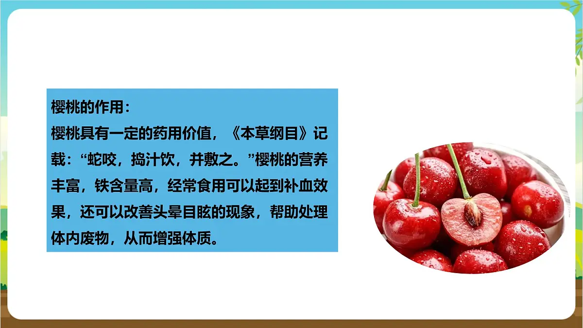 鲁科版综合实践活动四年级下册4.2《玲珑樱桃》课件第5页