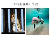 冀美版美術五年級上冊 14.從不同的視角表現(xiàn) 課件