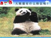 冀教版小学信息技术三年级第二课画大熊猫PPT课件PPT