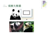 冀教版小学信息技术三年级第二课画大熊猫PPT（20图）课件PPT