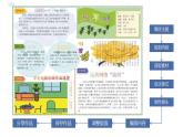 闽教版（2020）信息技术四上 综合活动1 规划主题收集资料 PPT课件（图片版）