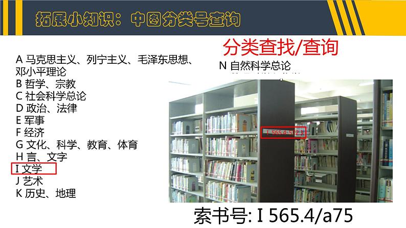 浙摄影版（2020）信息技术四上 第2课《分类查找》PPT课件04