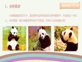 三年级下册信息技术课件-2.2《小小设计师》 第一课时 川教版 (共14张PPT)