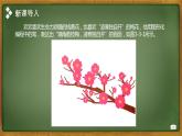 四年级下册信息技术课件 第三单元第3节《巧用图章与随机数》川教版（2019） (共19张PPT)