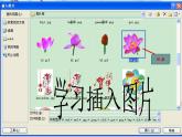 四年级上册信息技术课件－7图片文字排美观