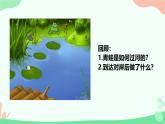 苏科版五年级上  第4课 青蛙过河 课件