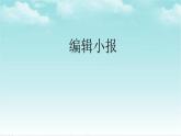 人教版信息技术四年级下册 第14课锦上添花出效果（课件+教案）