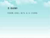 人教版信息技术四年级下册 第14课锦上添花出效果（课件+教案）