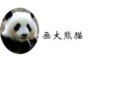 冀教版三年级上册信息技术 2.画大熊猫 PPT课件