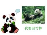 冀教版三年级上册信息技术 13.我是小画家 PPT课件