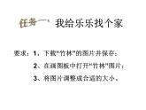 冀教版三年级上册信息技术 13.我是小画家 PPT课件