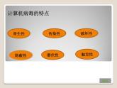 计算机病毒与网络安全PPT课件免费下载
