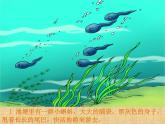 冀教版五年级上册信息技术 3.小蝌蚪找妈妈 课件