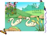 新世纪版信息技术三下 2.1 郊游图 PPT课件+教案
