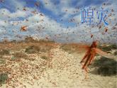 冀教版六年级下册信息技术 18.直面自然灾害 课件PPT
