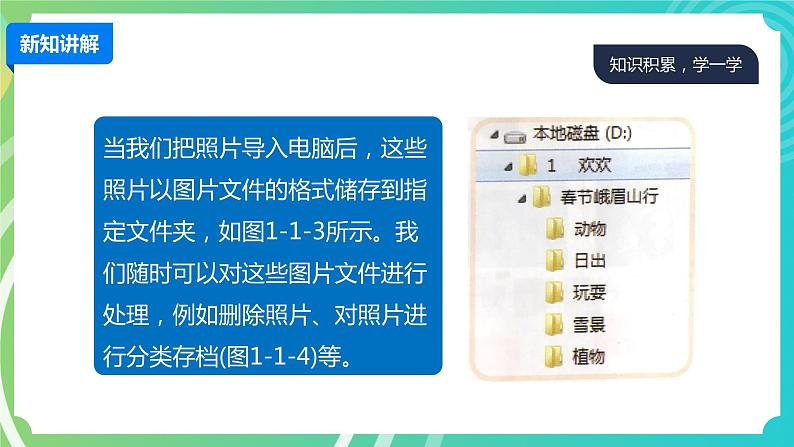 川教版四年级下册信息技术1.1《处理照片》PPT课件第8页