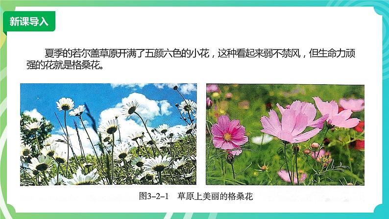 川教版四年级下册信息技术 3.2《自制积木》PPT课件第2页