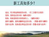 一、翻转或旋转图像 课件+教案