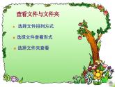 第3课 查看整理文件 课件+教案