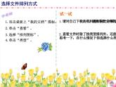 第3课 查看整理文件 课件+教案