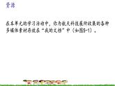 第五课 单元评估 分类和展示多媒体素材 课件
